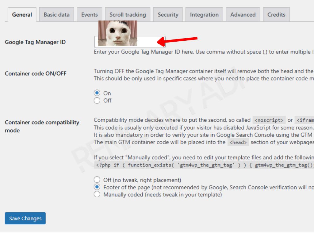Cara Install Google Tag Manager via WordPress How to Install Renicaryadi.com-Step-10