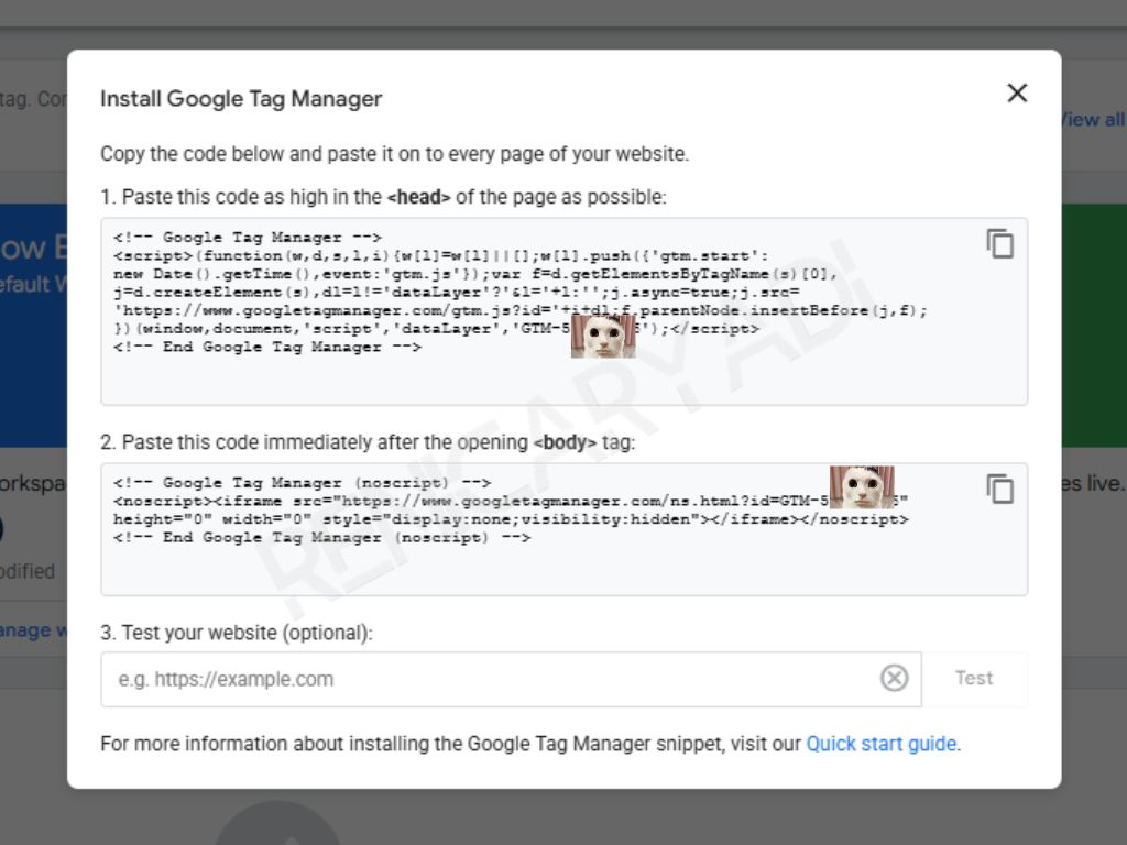 Cara Install Google Tag Manager via WordPress How to Install Renicaryadi.com-Step-2
