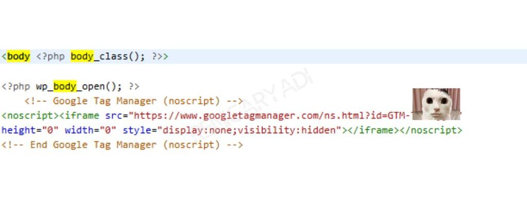 Cara Install Google Tag Manager via WordPress How to Install Renicaryadi.com-Step-7