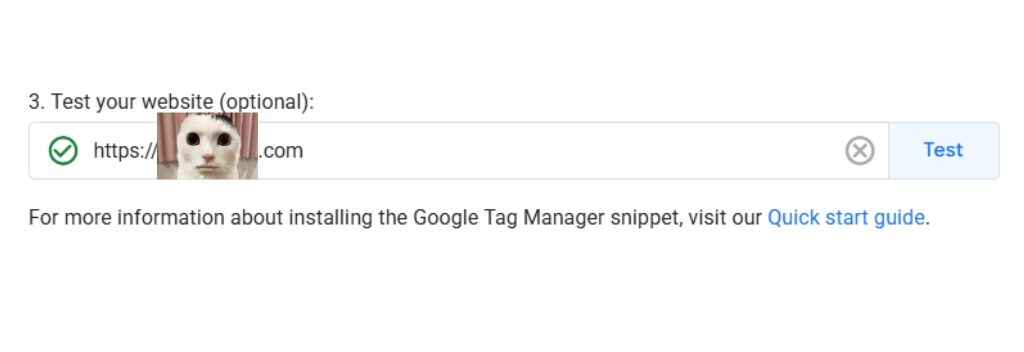 Cara Install Google Tag Manager via WordPress How to Install Renicaryadi.com-step-12